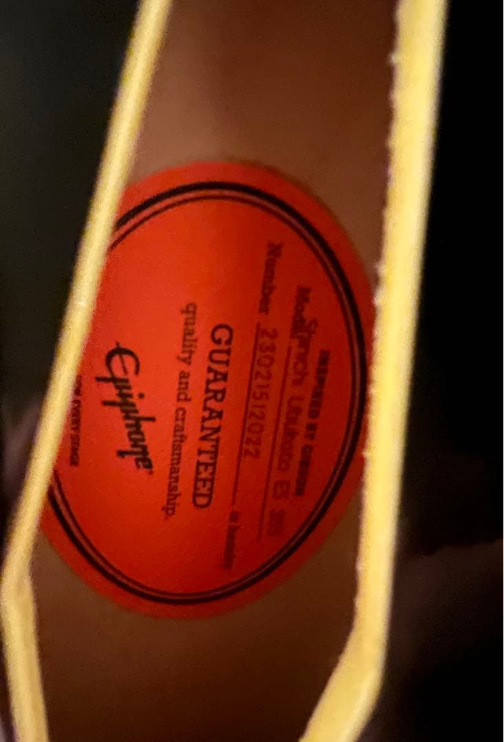 た*ー様 Shinichi Ubukata ES-355 ※注意点あり。