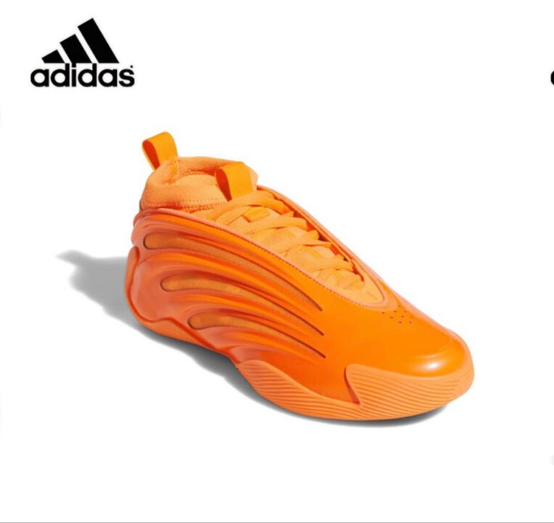 シューズ(男性用) HARDEN ver.9 25cm