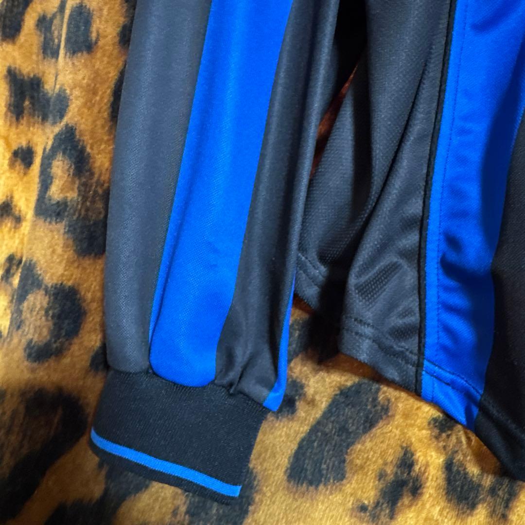 インテル　ロベルトバッジョ　セリエA サッカー　フットボール　カルチョ