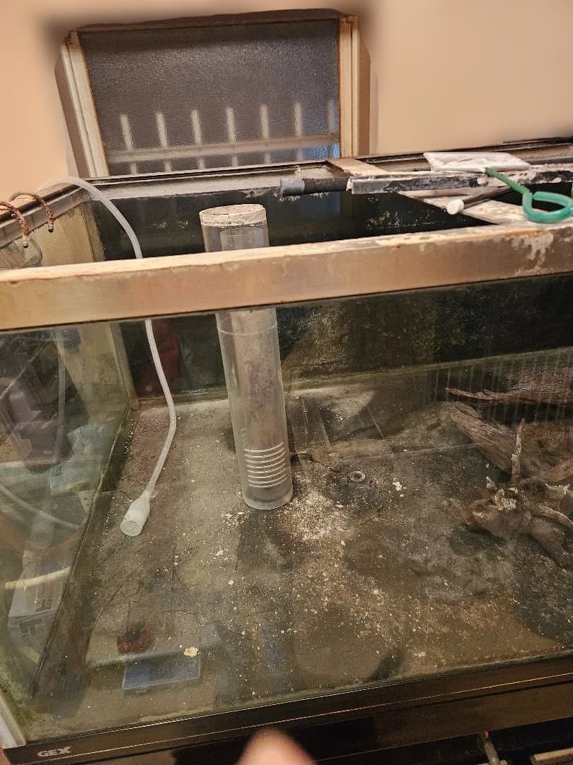 大型オーバーフロー水槽