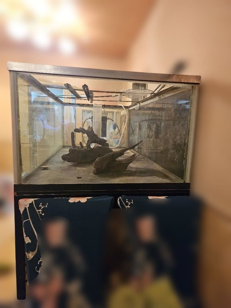 大型オーバーフロー水槽