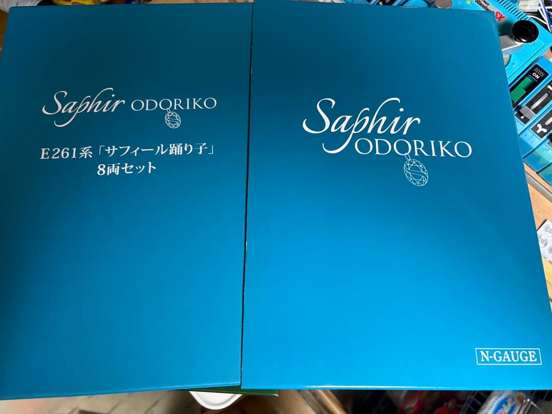 E261系 サフィール踊り子 室内表現シール＆室内灯装着