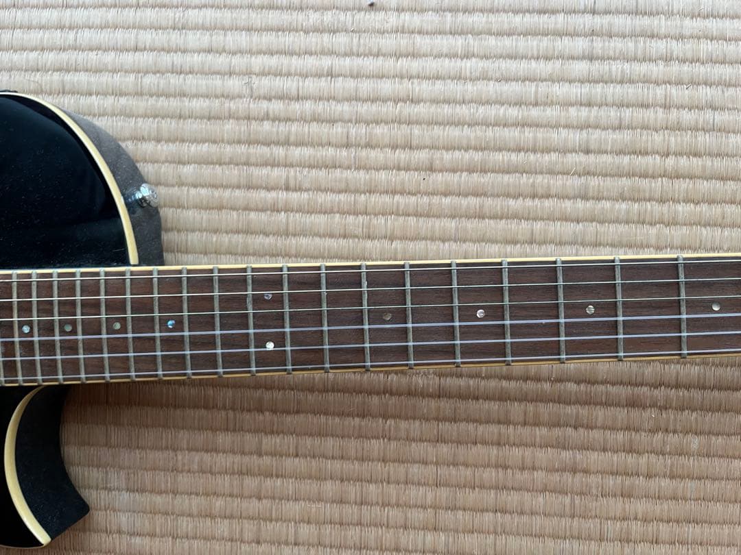 ESP Ltd TL-6N Black エレガット