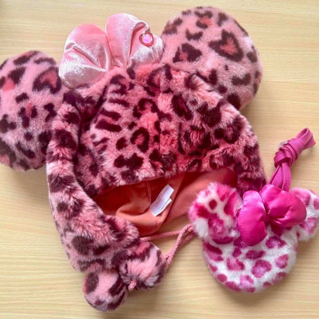 【超レアセット】ファンキャップ＆ケース