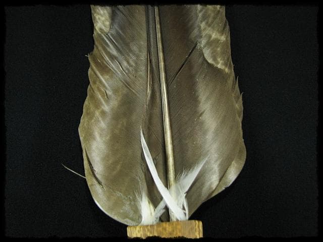 座掃 御羽箒 箒博 六ツ羽根 大掃込 茶道具 水屋道具 共箱 f321