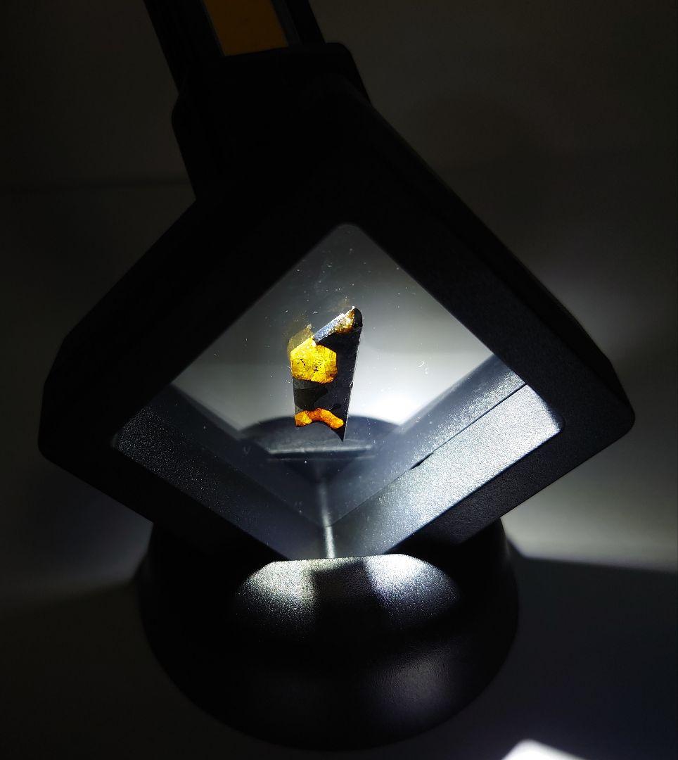 ねこし　イミラック隕石　パラサイト 標本ケース土台付き