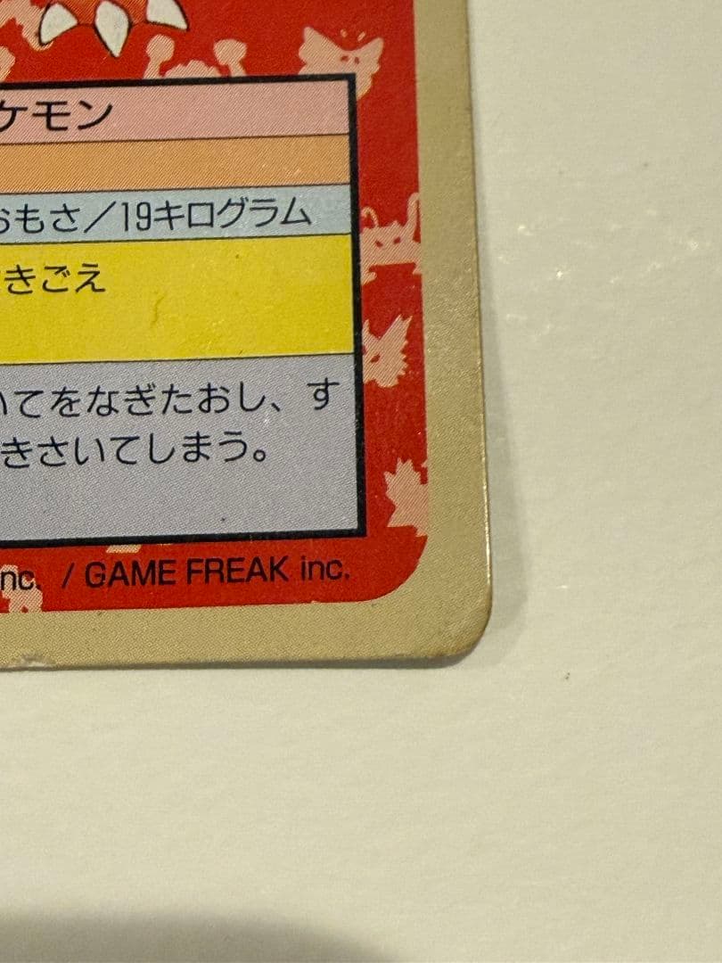 トップサン リザード＆リザードン 裏緑