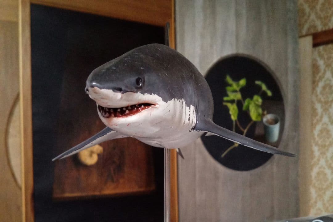 サメ　模型　ホホジロザメ　超絶モデル