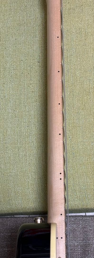 ギター Fender Richie Kotzen Telecaster