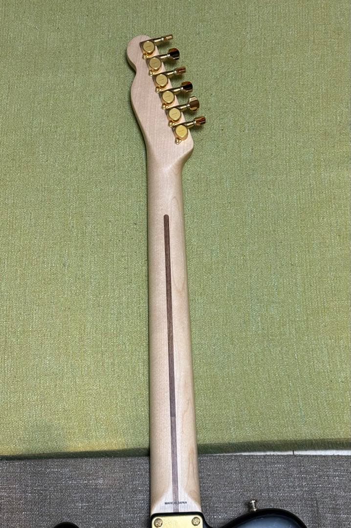 ギター Fender Richie Kotzen Telecaster