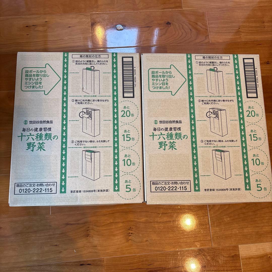 世田谷自然食品　16種類の野菜　2箱セット