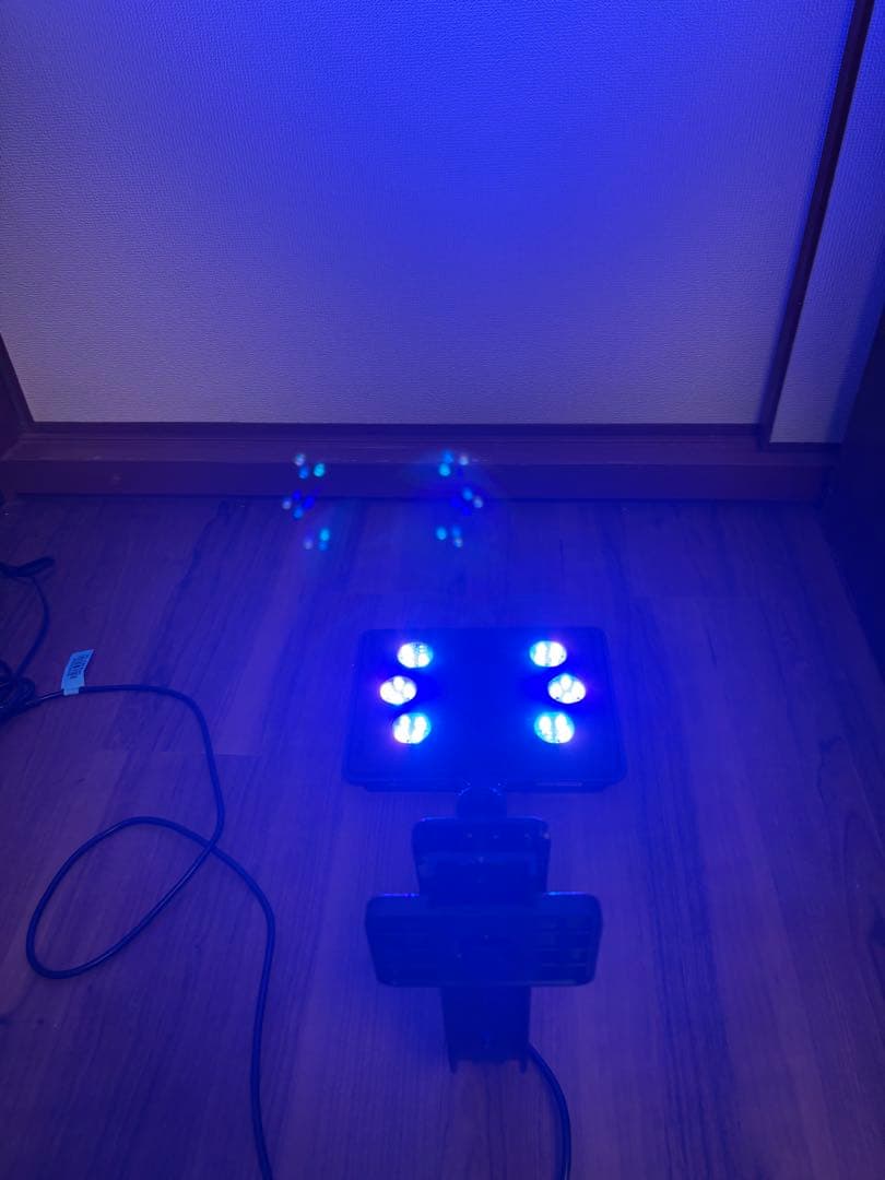 8200最maxspect MJ-L165 LEDライトブルーエディション