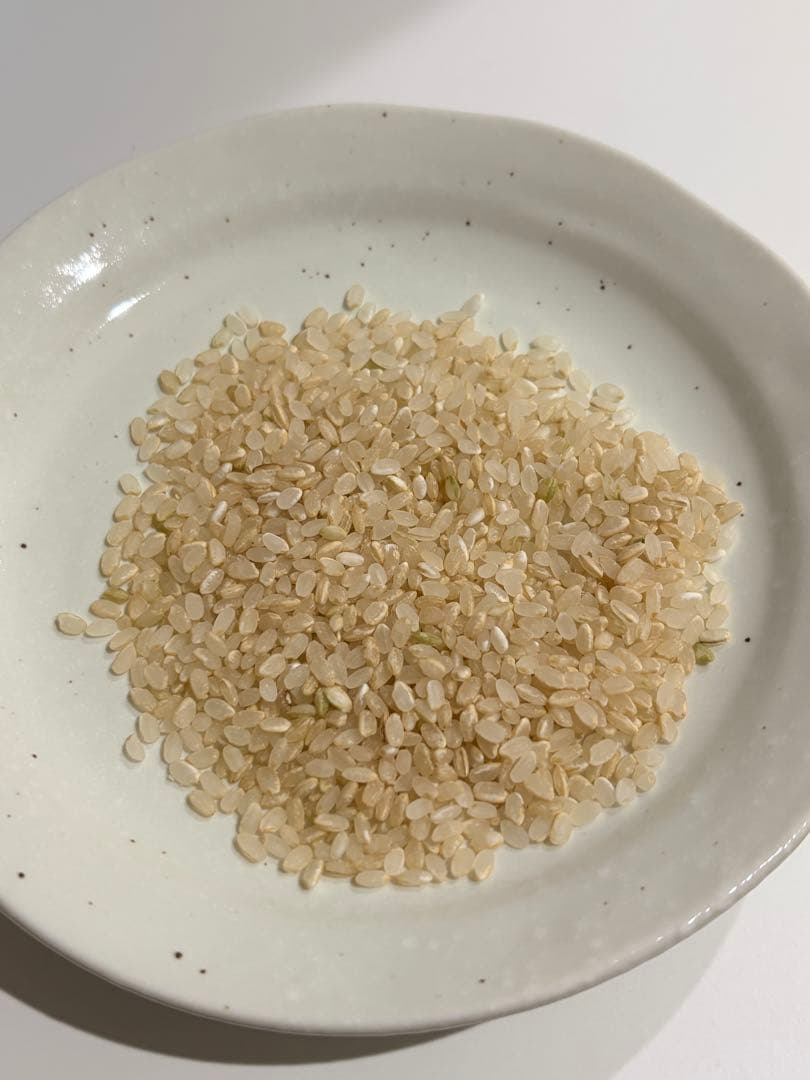 五分づき米 コシヒカリ 26年1月精米 約14kg