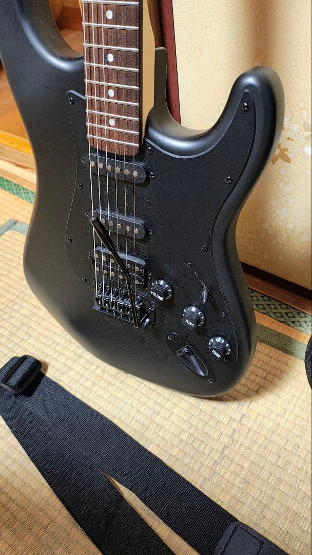 SELDER セルダー　ストラトキャスター　STC-04　全面ブラック仕様