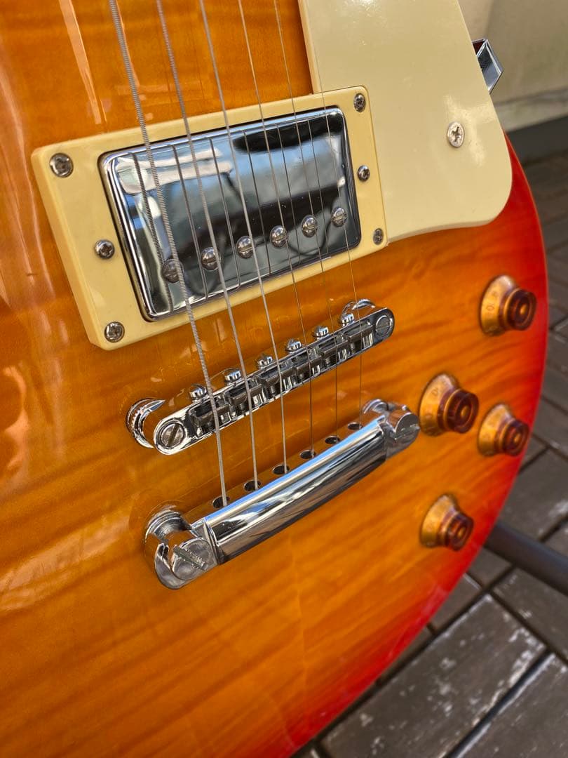 Grass Roots Limited Model (レスポールタイプ)