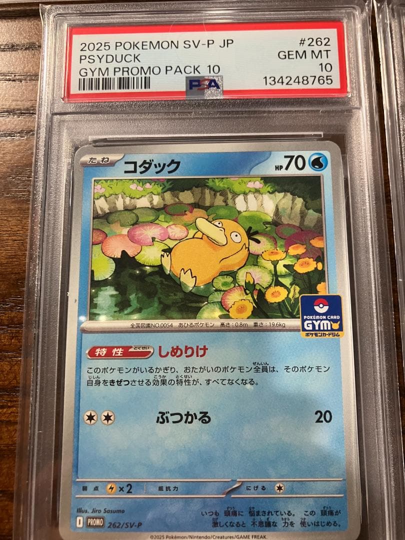 【PSA10】ポケモン5連番　コダック ジムプロモ しめりけ 262/SV-P