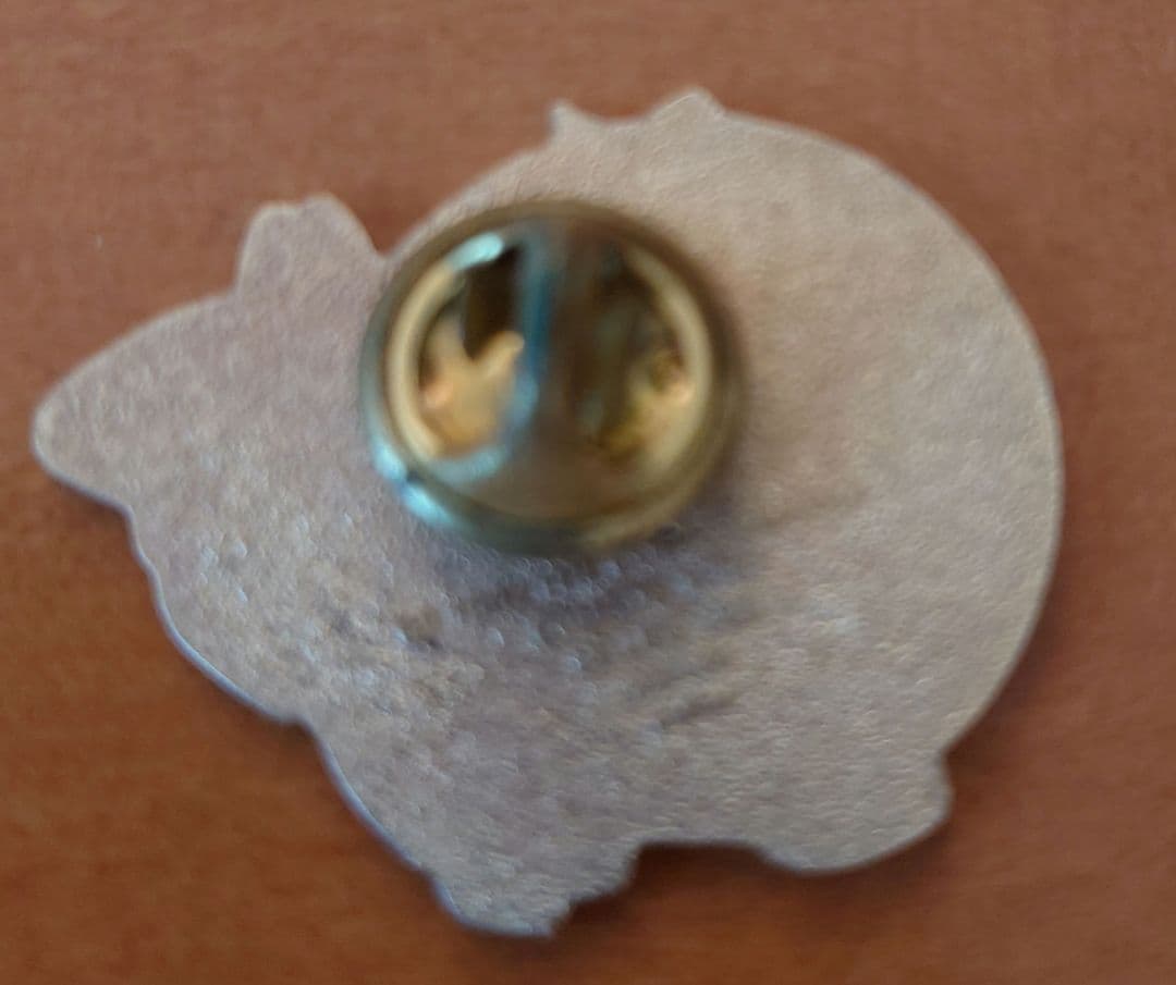 1998年長野オリンピック コカ・コーラ ピンバッジ