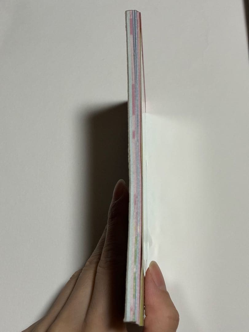 【1/31まで大特価】平成レトロ　メモ帳　当時物