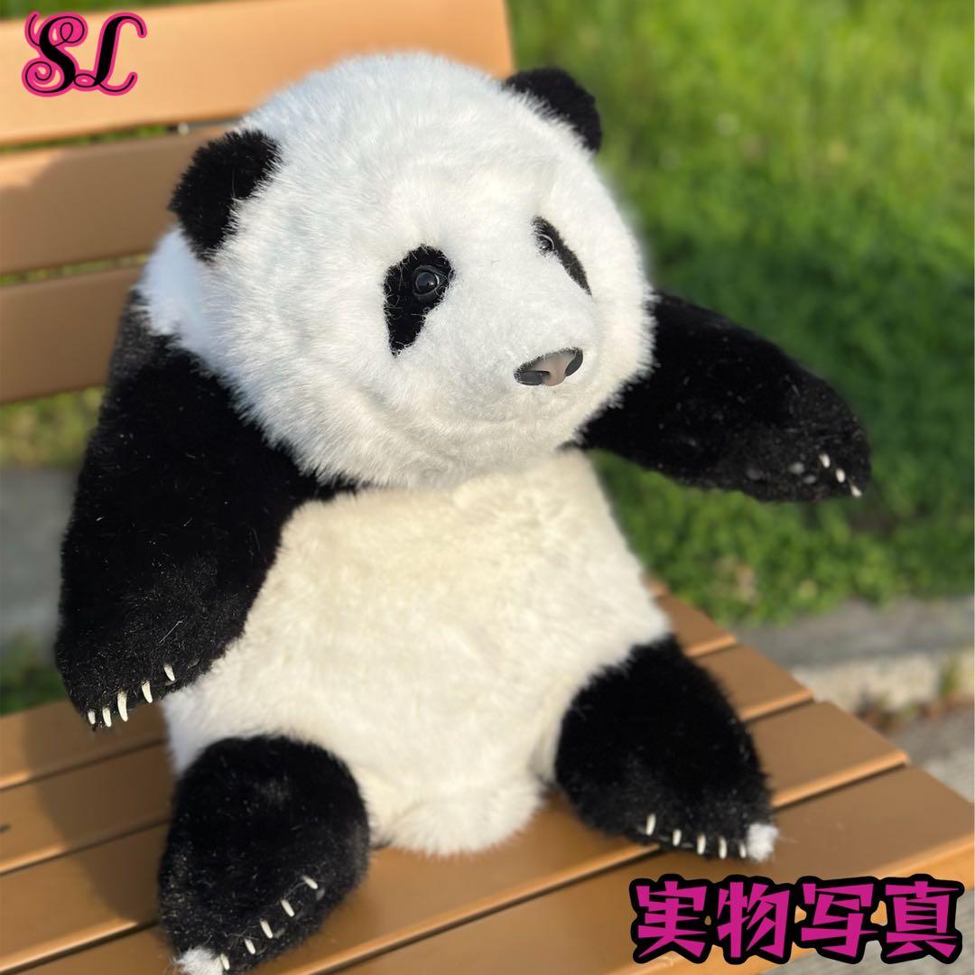 パンダ　リアルで癒される！5ヶ月齢パンダ ぬいぐるみ登場 ファファ まるで本物！
