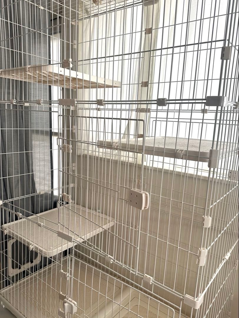 猫ケージ大型多頭飼い