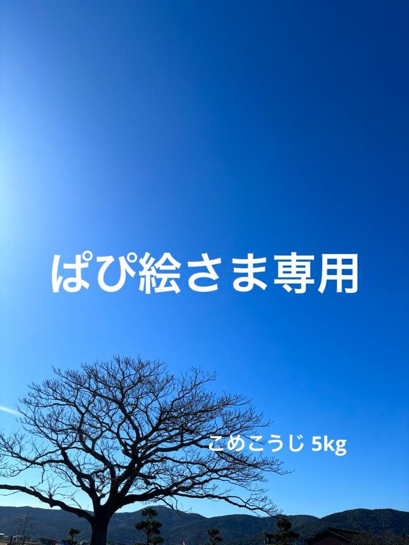 【 ぱぴ絵さま専用 】