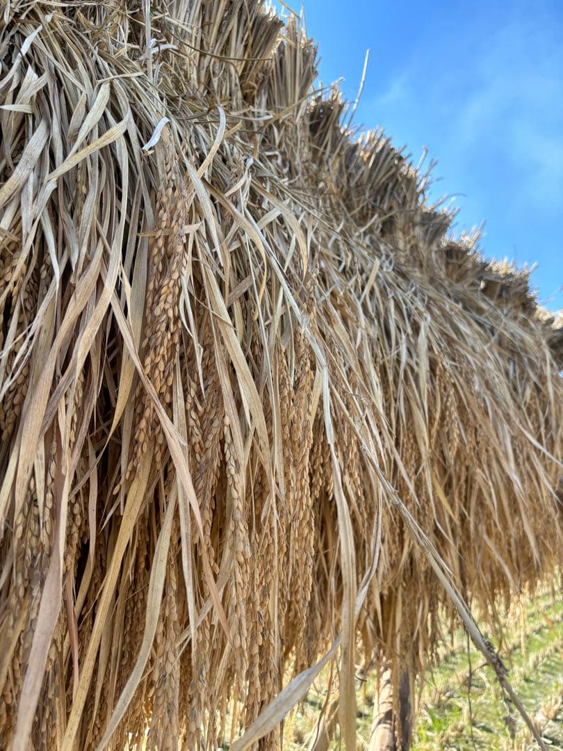 【 ぱぴ絵さま専用 】