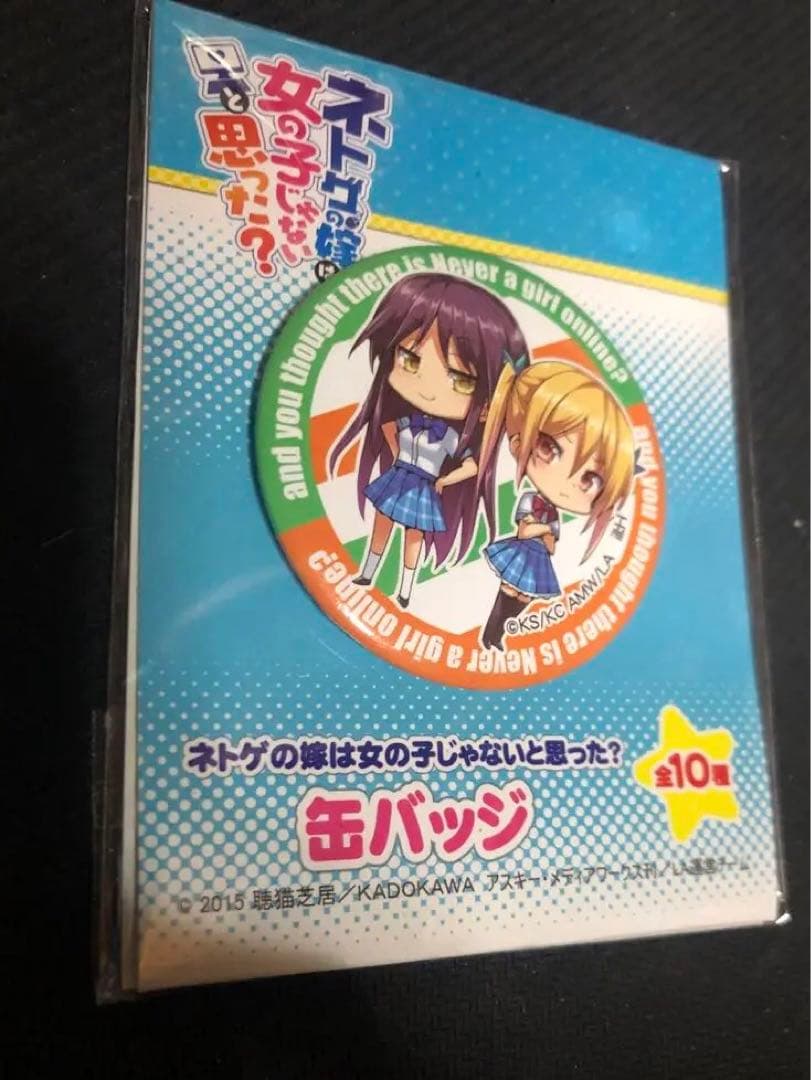 激レア　ネトゲの嫁は女の子じゃないと思った? 缶バッジ
