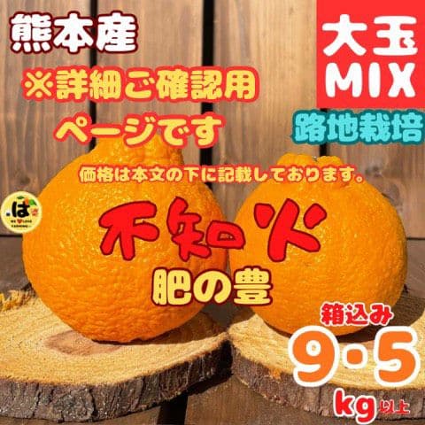 ※確認用　大玉MIX箱込み9.5kg以上【露地栽培　不知火　デコポン　肥の豊】