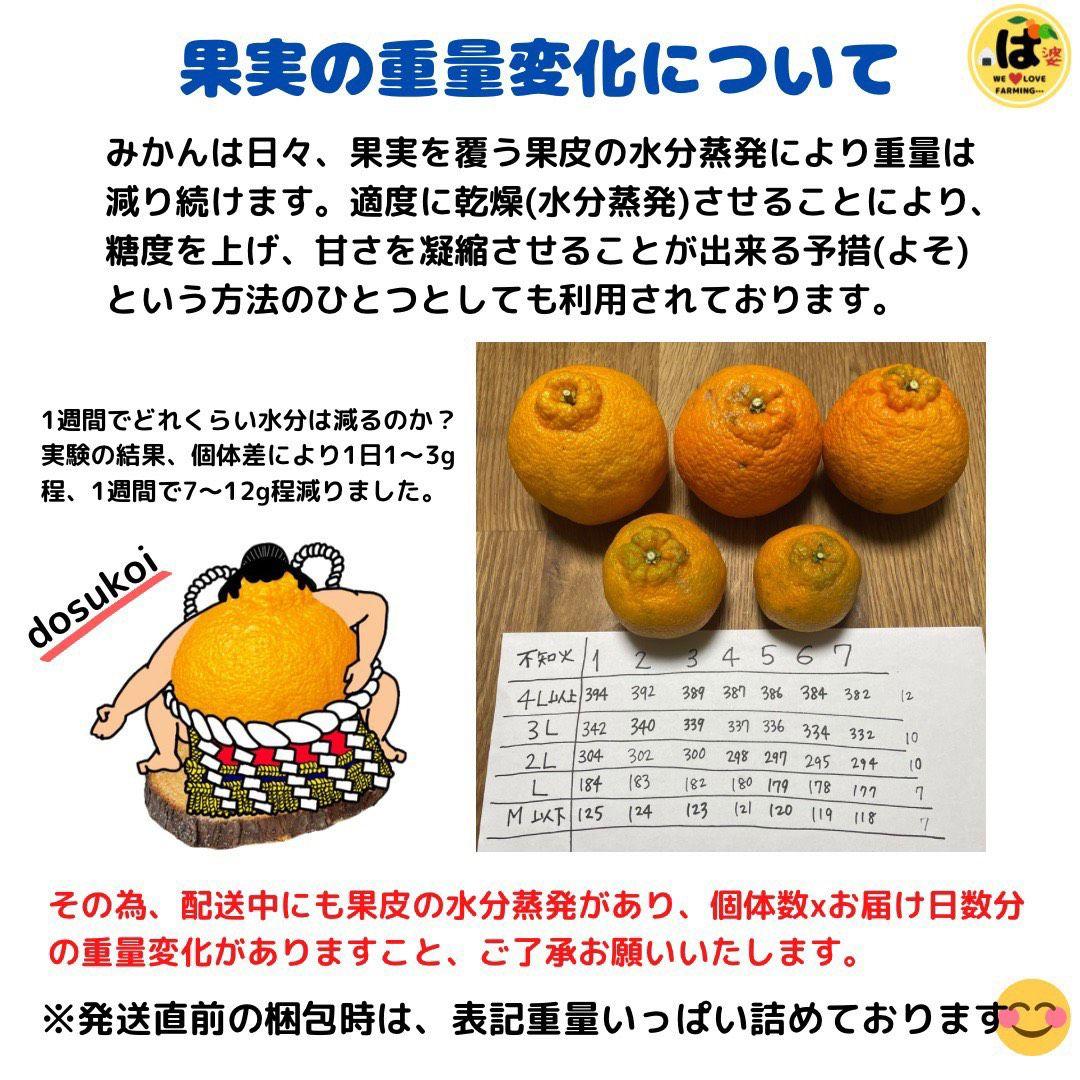 ※確認用　大玉MIX箱込み9.5kg以上【露地栽培　不知火　デコポン　肥の豊】