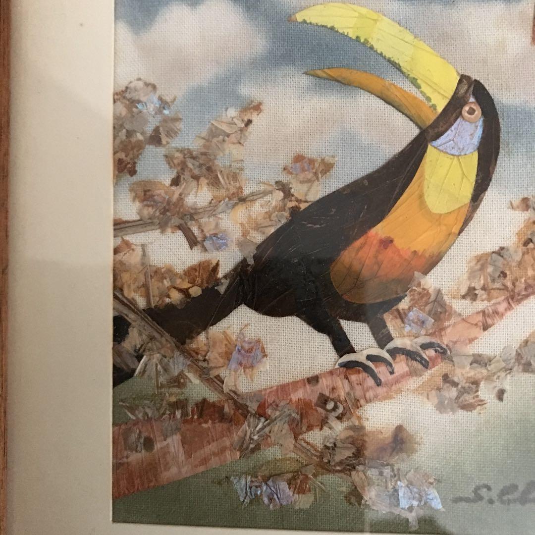 Shuya Chiba (千葉修也)  蝶画Toucan Bird (オオハシ)