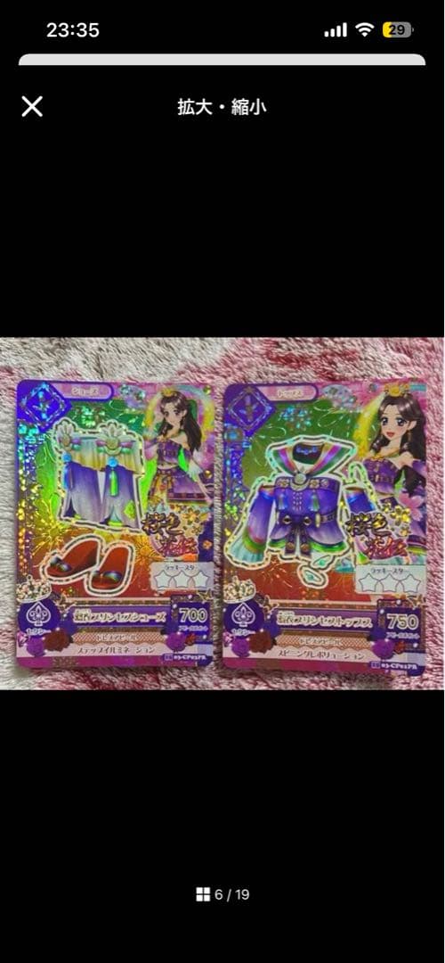 シャムタビー✨