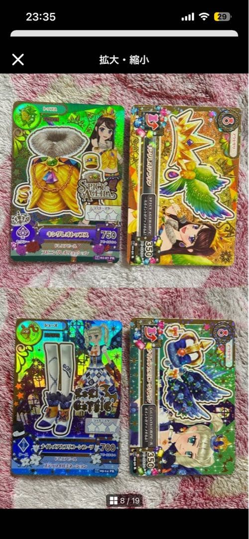 シャムタビー✨