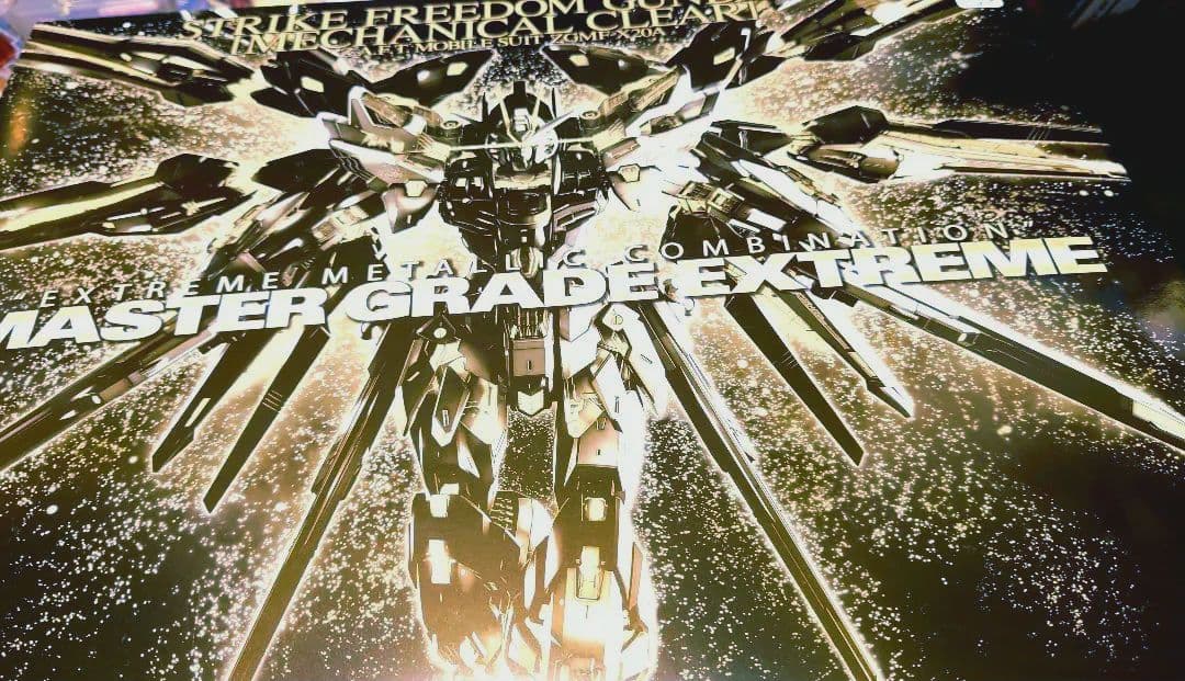 【未組立】MGEX ストライクフリーダムガンダム [メカニカルクリア]