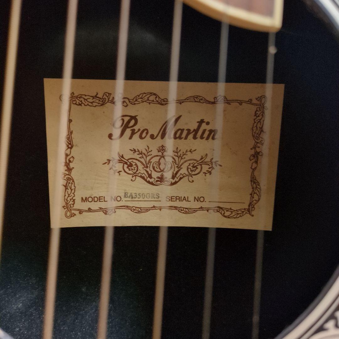 Pro martin ea350grs エレアコ ギター グリーン