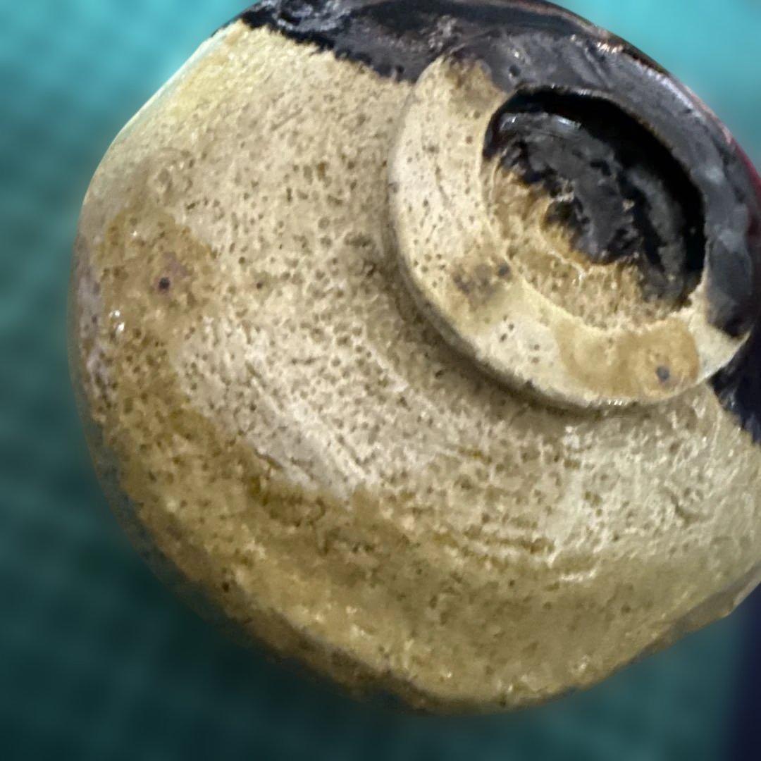 楽焼き　樂茶盌　【メルカリ専用】掛分茶碗　茶道具　ツートンカラー　茶道