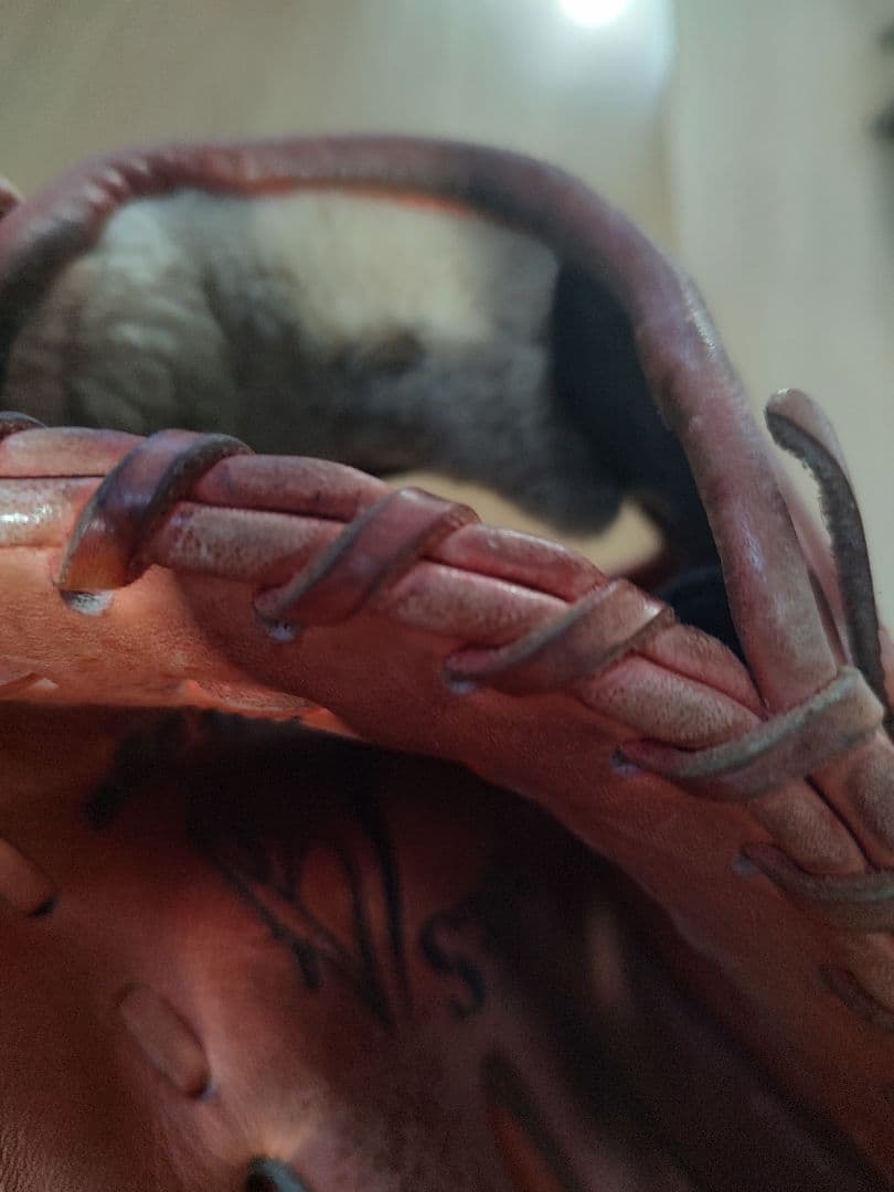 Nike Heroes DiamondEdge グローブ（最終値下げ）