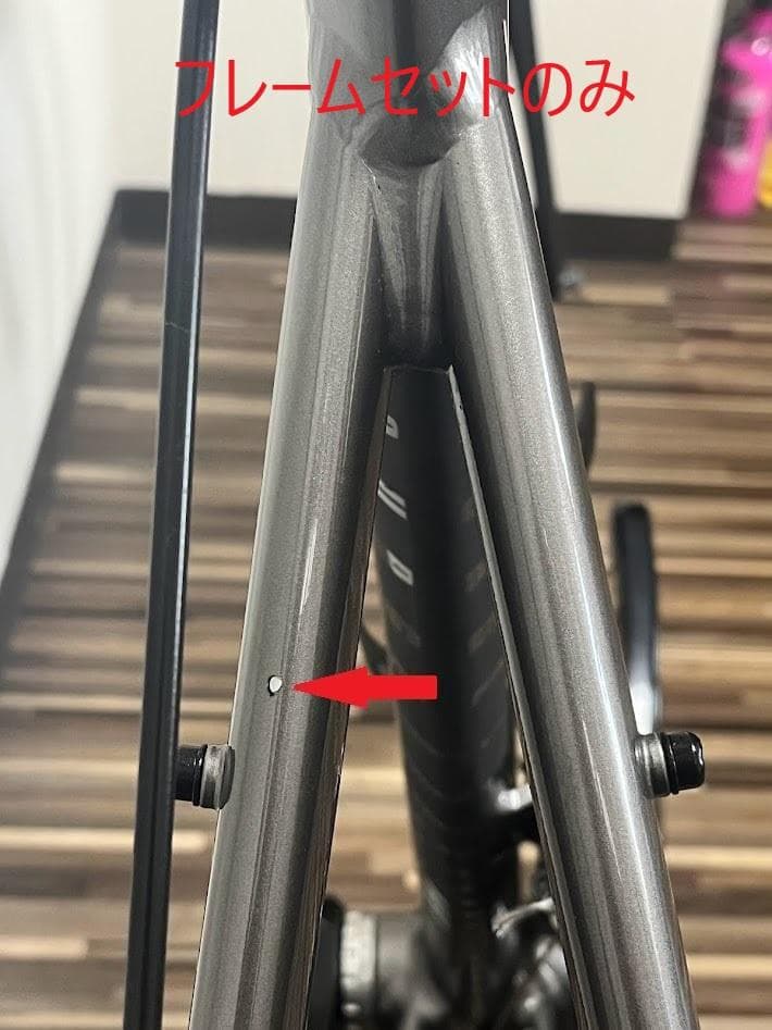 Tern Surge 52サイズ フレームセット