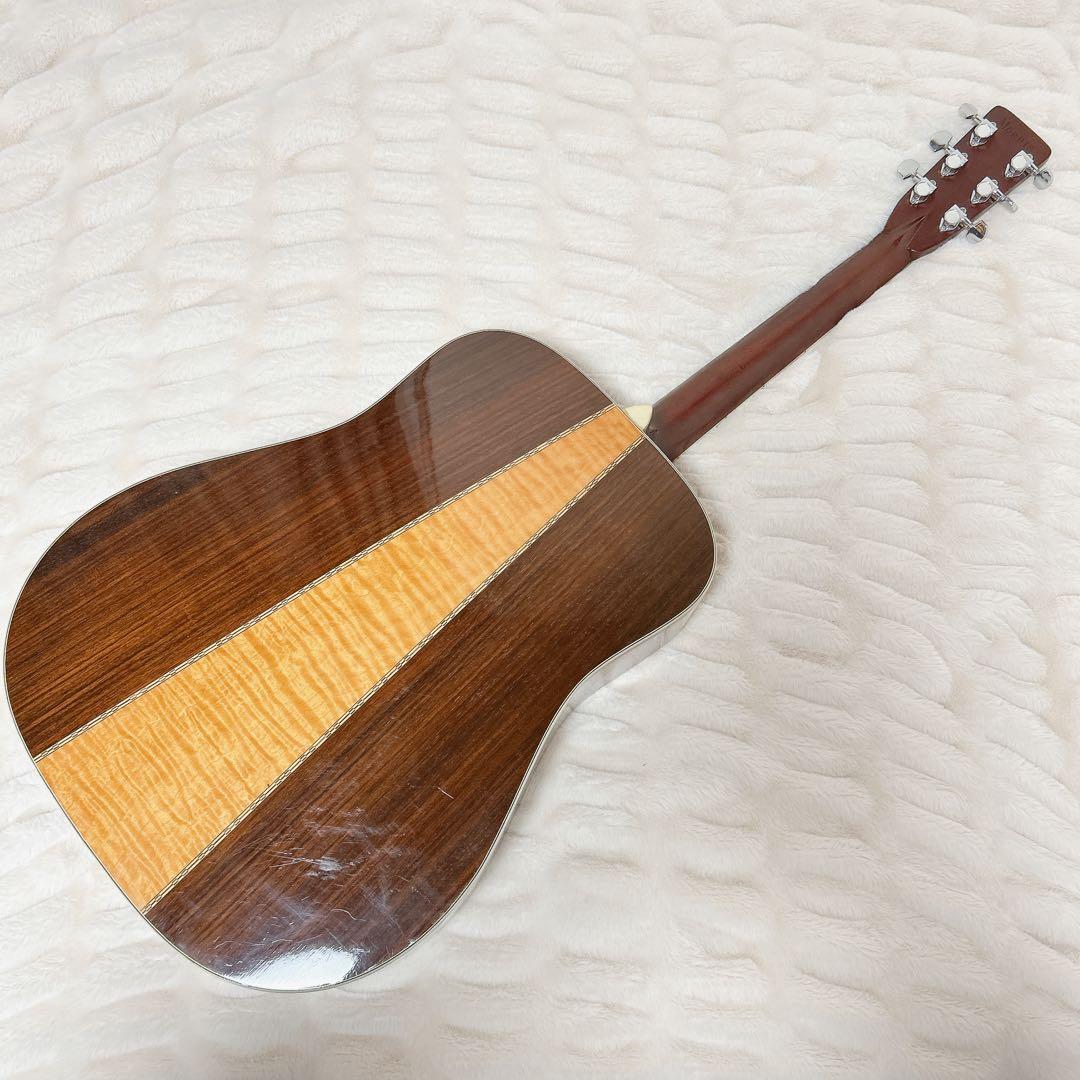 MORRIS TF W-50 ハカランダモデル