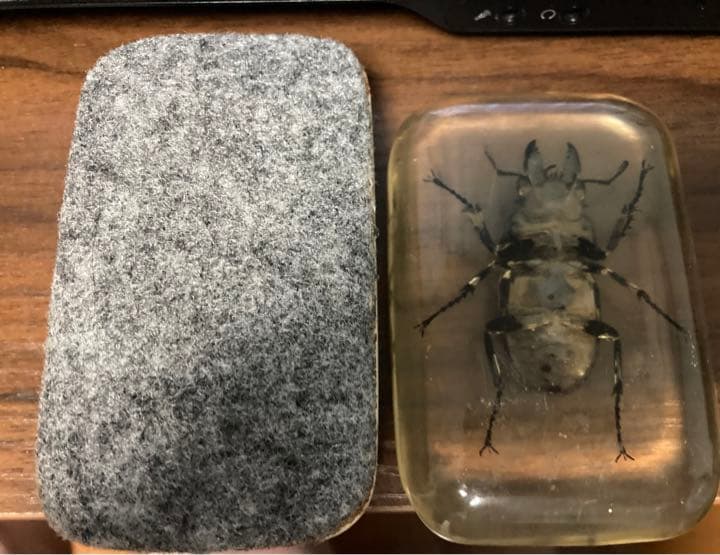 レジン　オウゴンオニクワガタとカミキリムシ(？)