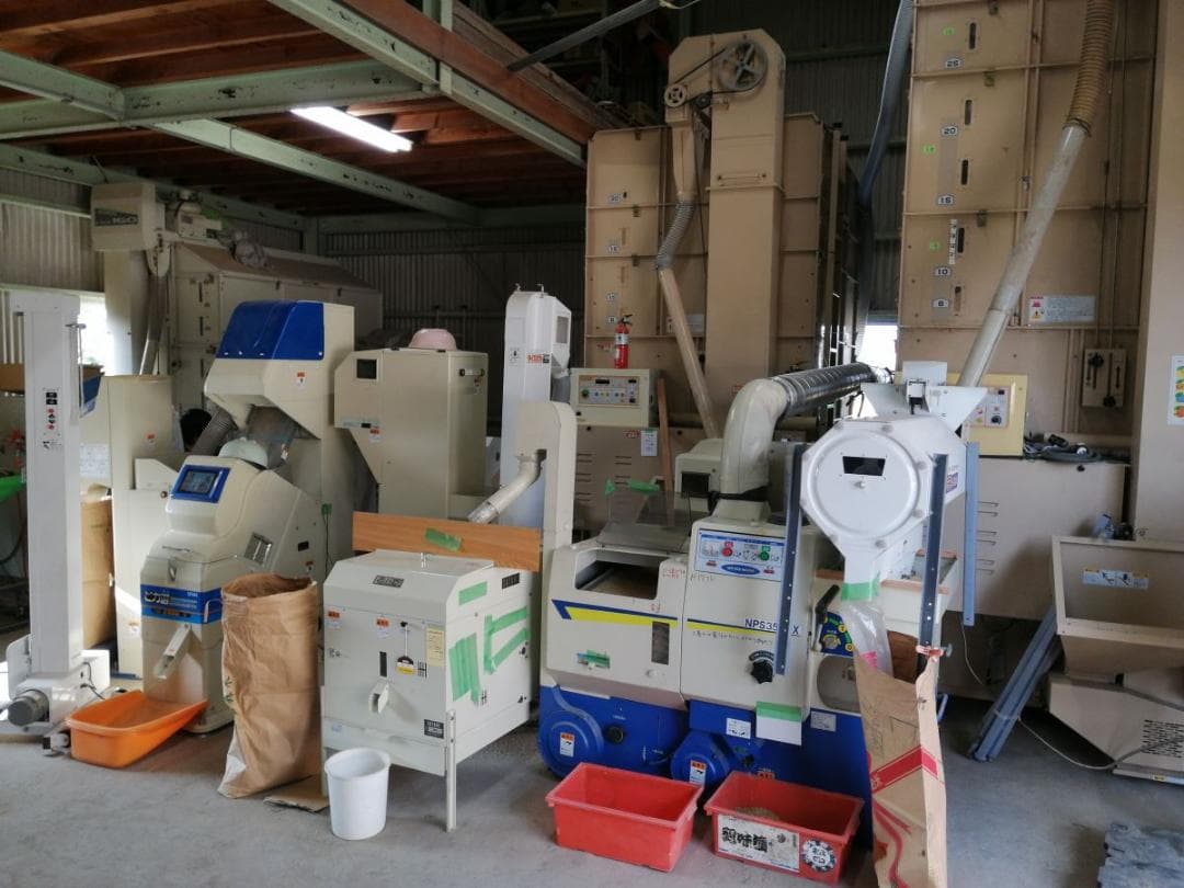 令和７年度兵庫県産 たちはるか 玄米30kg※精米可 本州・四国・九州は送料無料