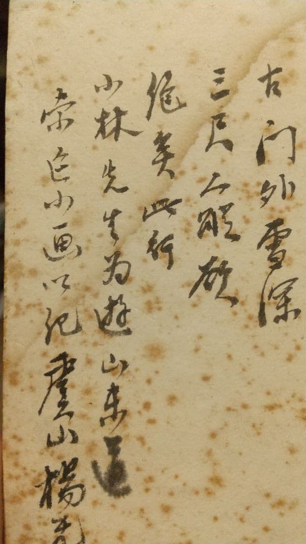 清国 中国 画家 楊无恙 肉筆画讃色紙 しみ目立つ