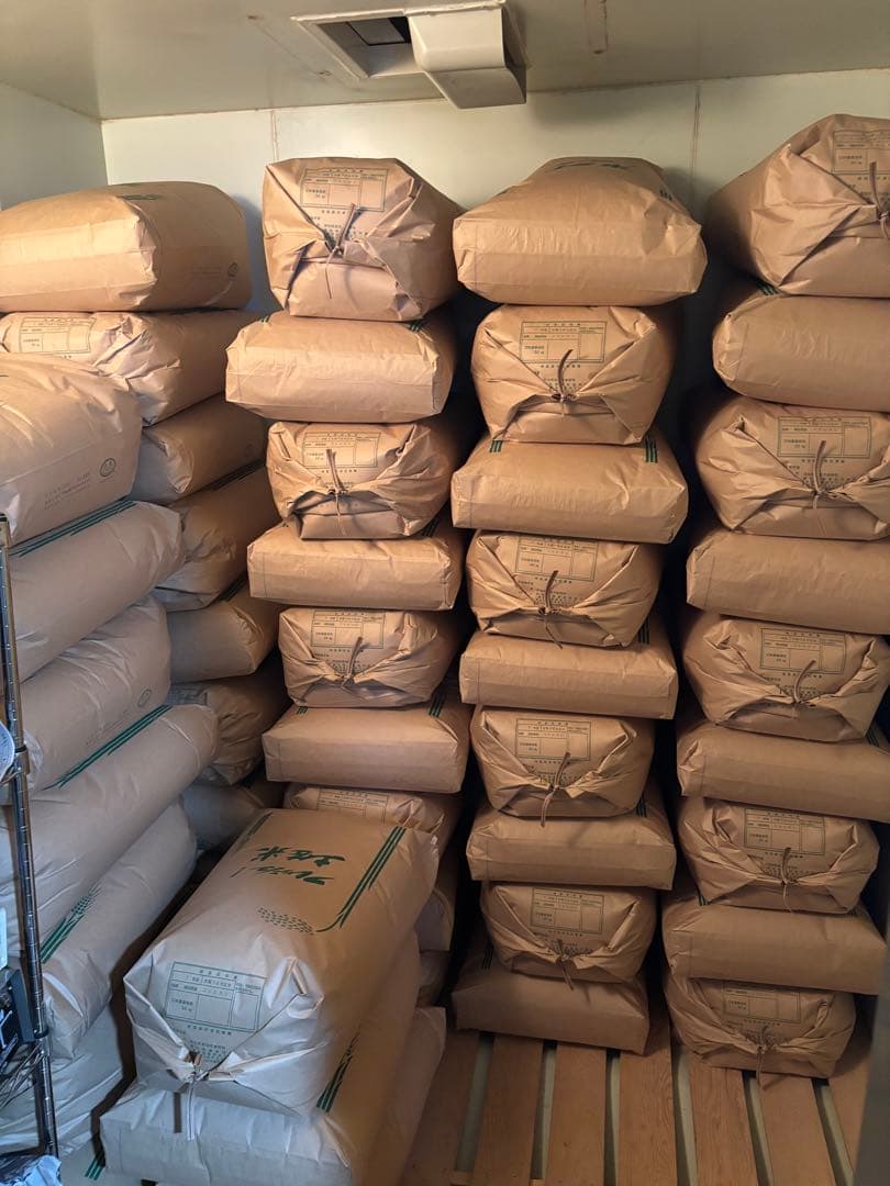 コシヒカリ　10キロ(精米)