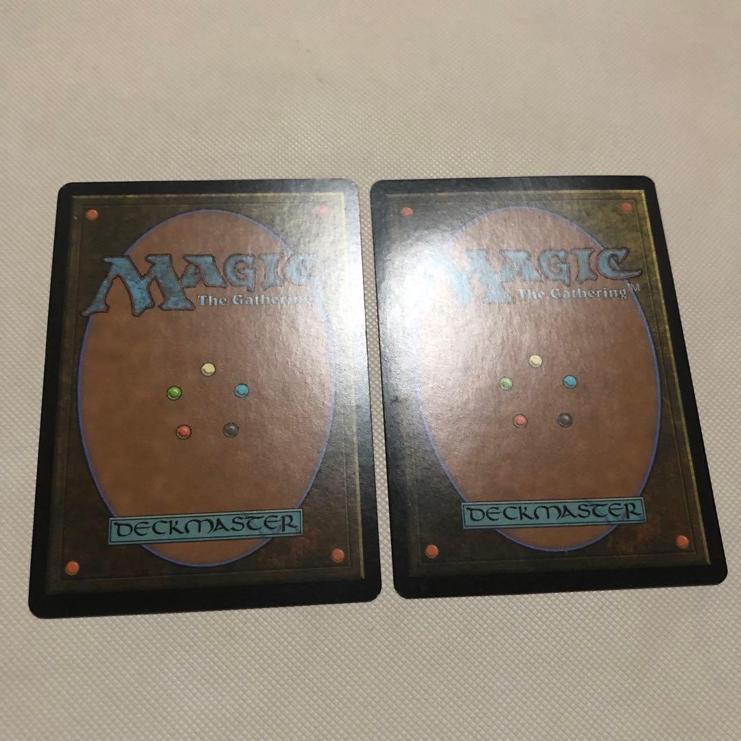 霧深い雨林 溢れかえる岸辺 汚染された三角州 mtg ロシア語 フェッチランド