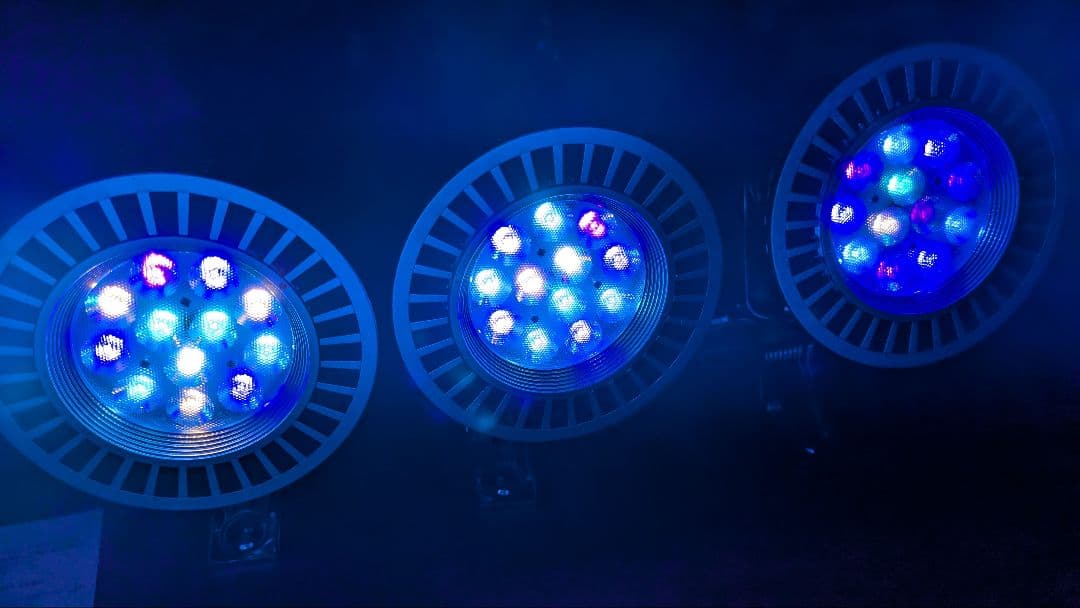 ボルクスジャパン　Ｇｒａｓｓｙ　ＬｅＤｉｏ　3個セット