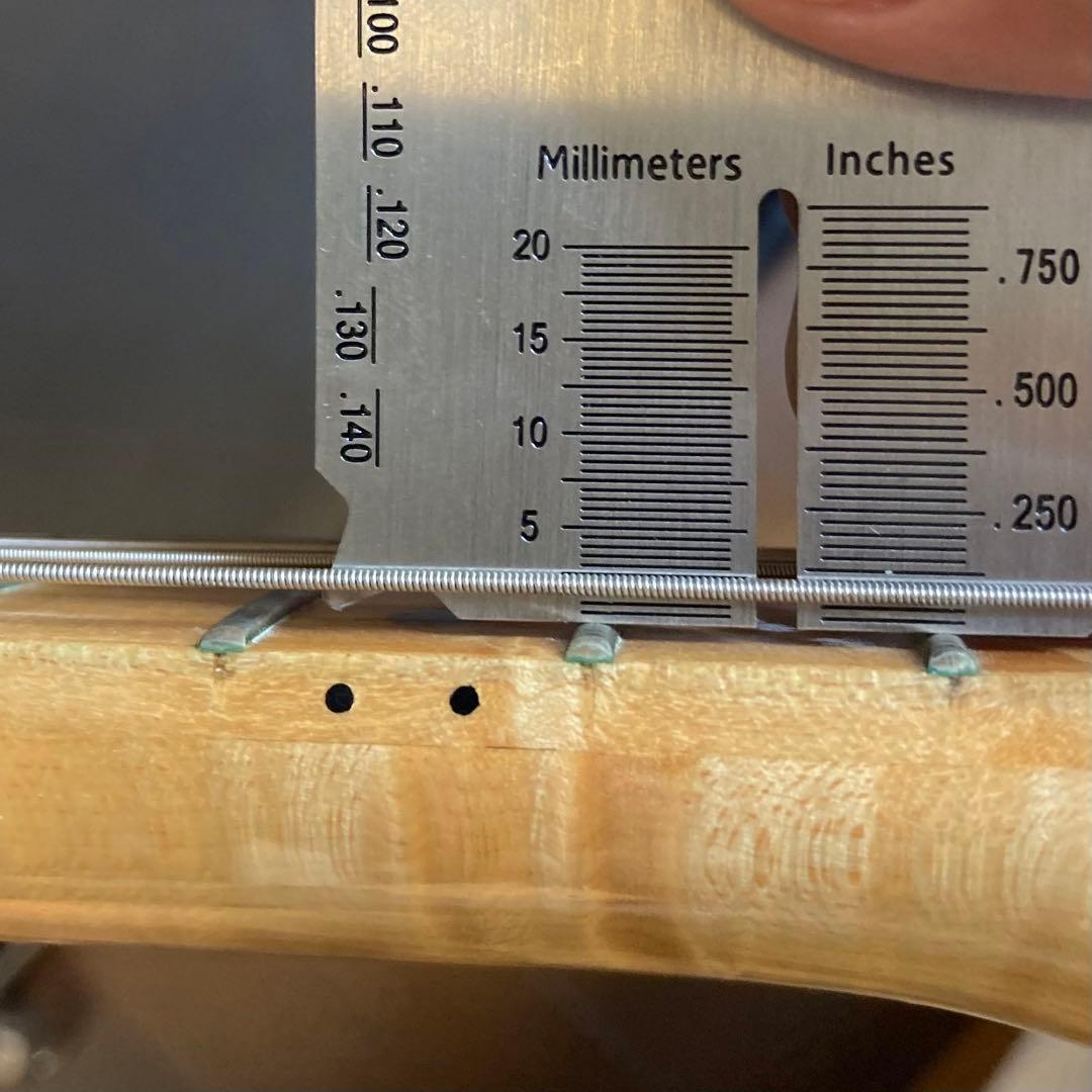 ギター Fender Warmoth Telecaster Thinline