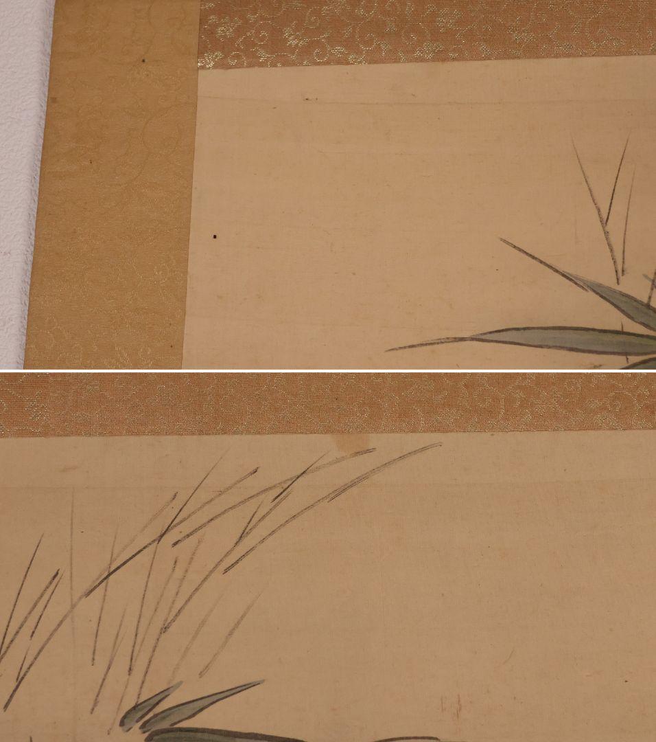 【模写】日本画 荒木寛畝 鶏図 絹本 掛軸 花鳥 MB155