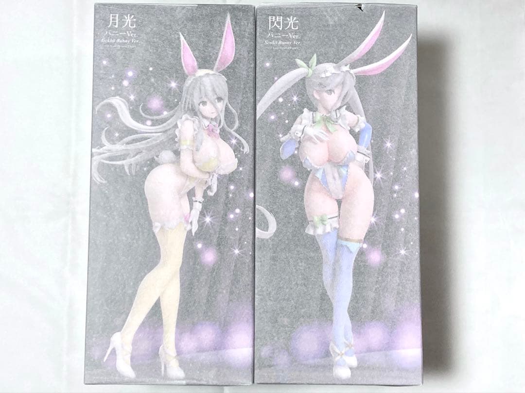 D*G様 閃乱カグラ シノビマスター フィギュア 月光 閃光