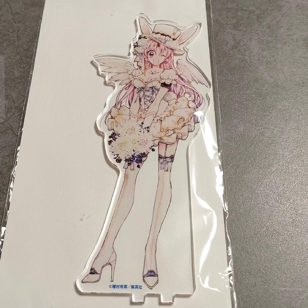 満月をさがして　アニカフェ限定　アクスタ　めろこ・ユイ　ウェディング