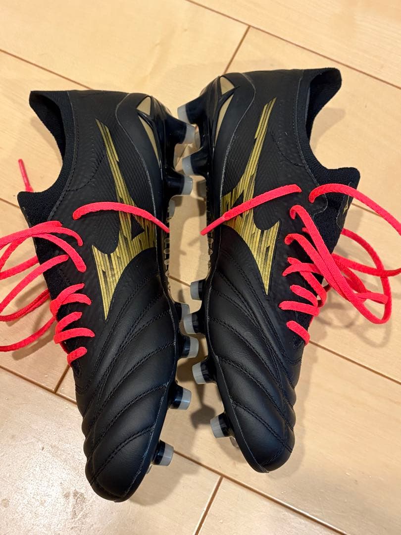 モレリアネオ4β 25cm