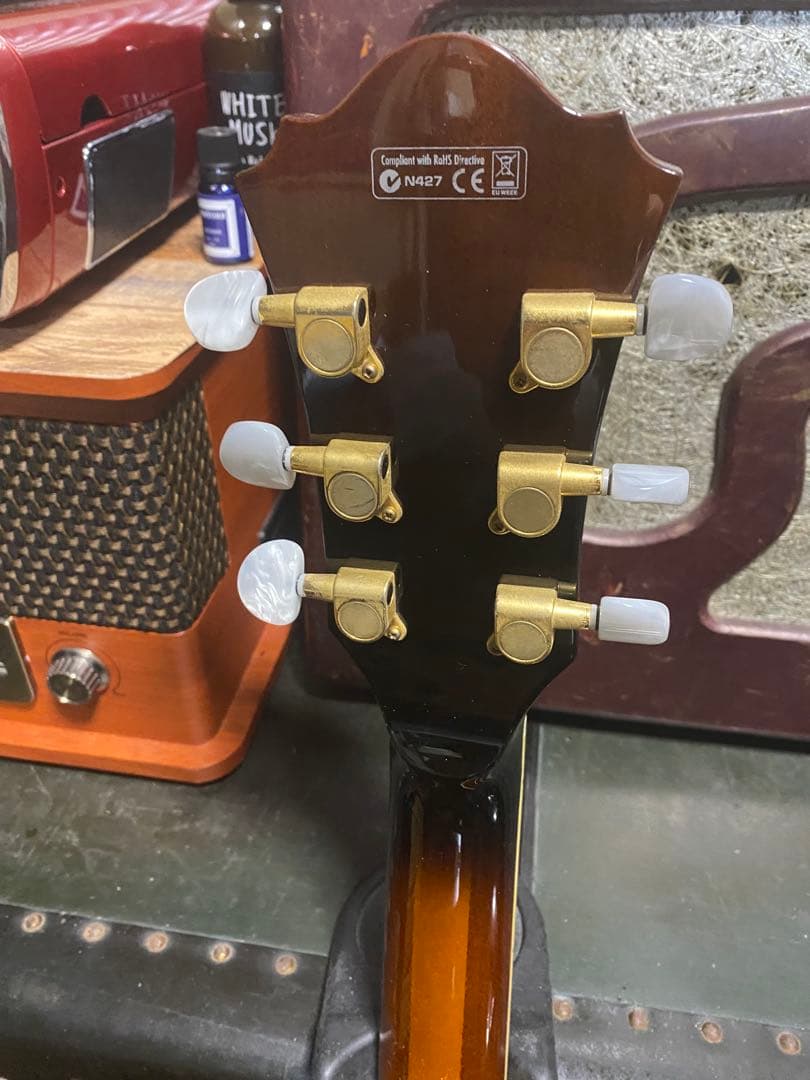 緊急最終値下げ！Ibanez ARTCORE AF95-VLS-12-01